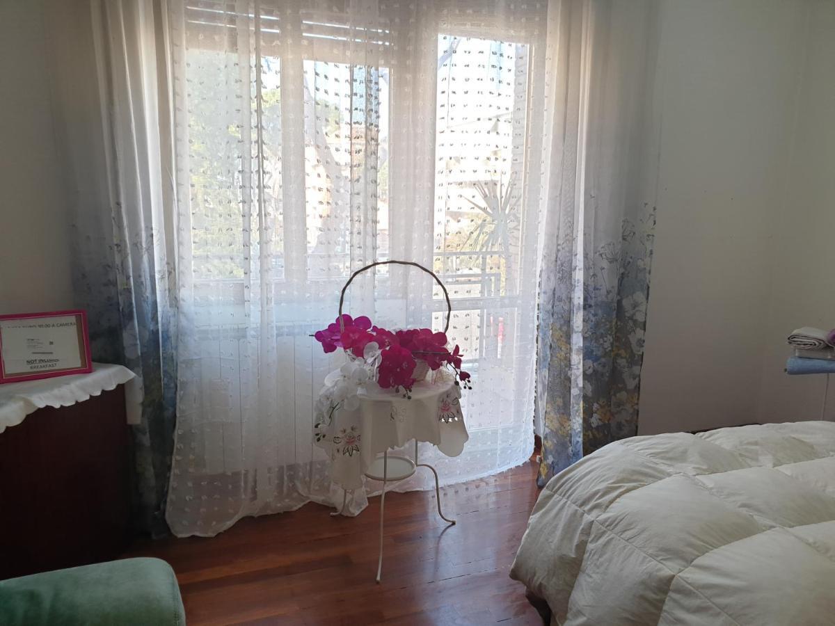 B&B Mary'S House Ciampino Ngoại thất bức ảnh