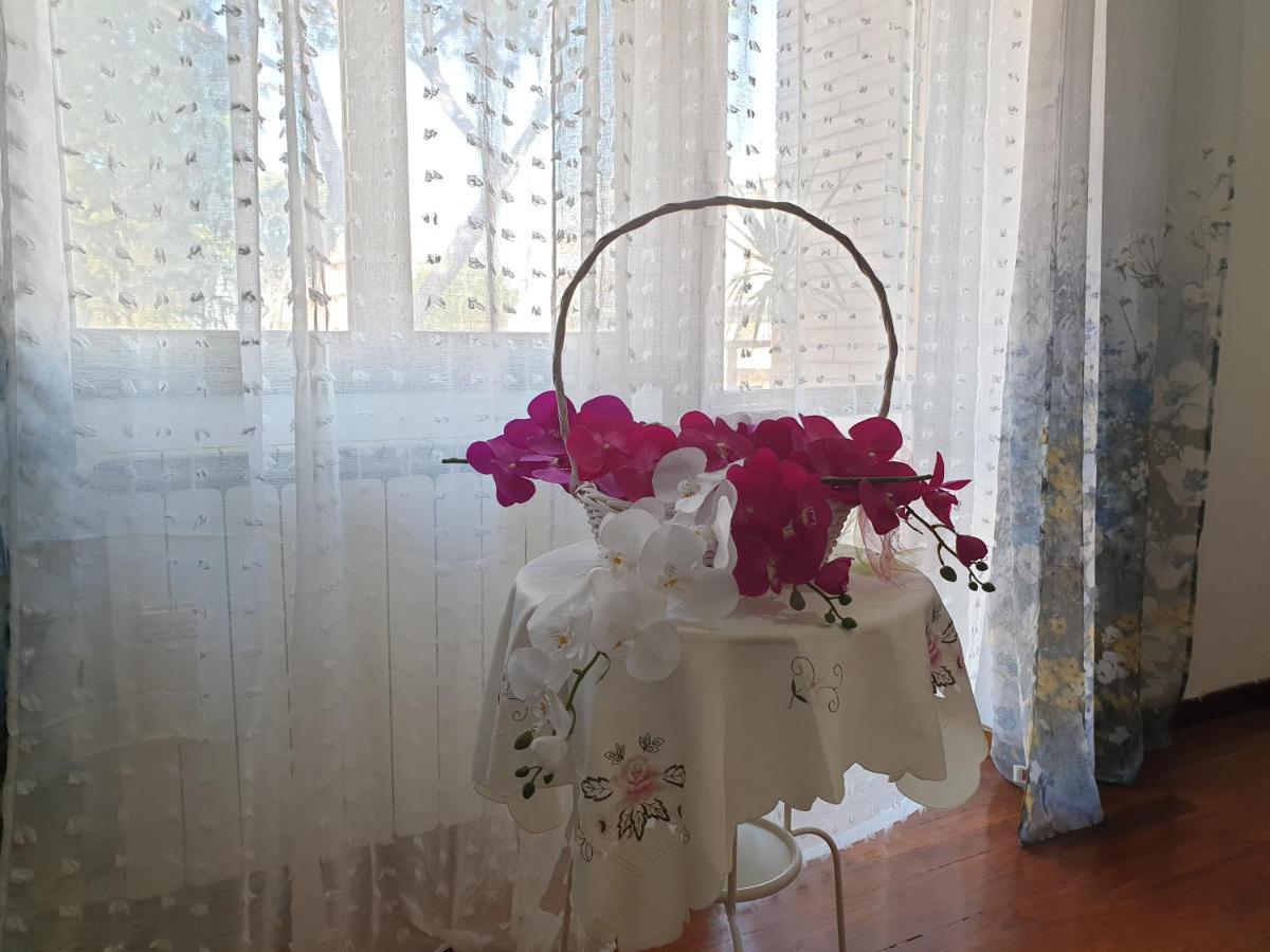 B&B Mary'S House Ciampino Ngoại thất bức ảnh